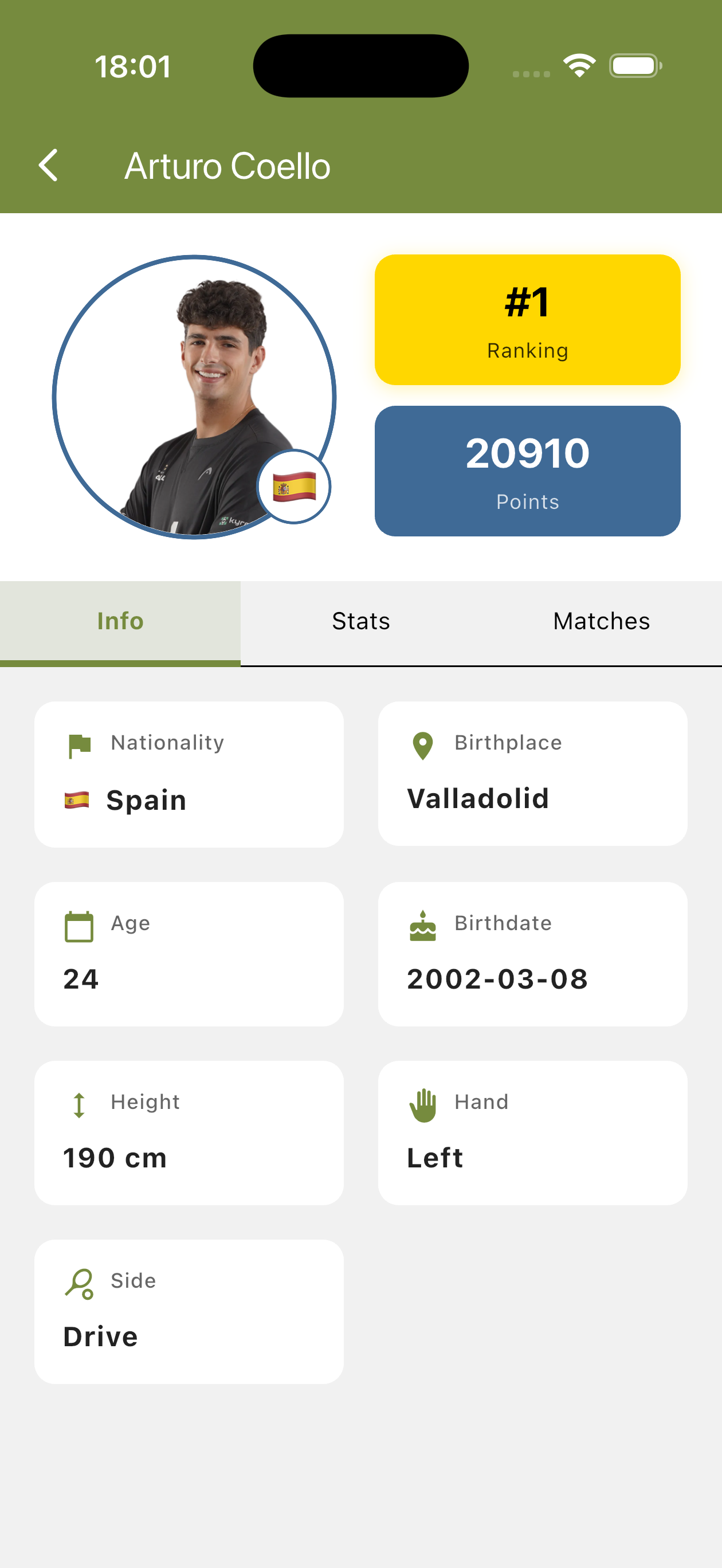Player Details
